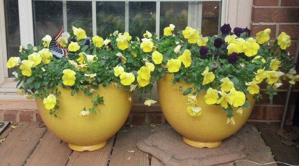 Marsha, Belews Creek, North Carolina