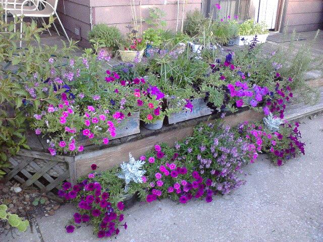 Nancy A, Chicago, IL