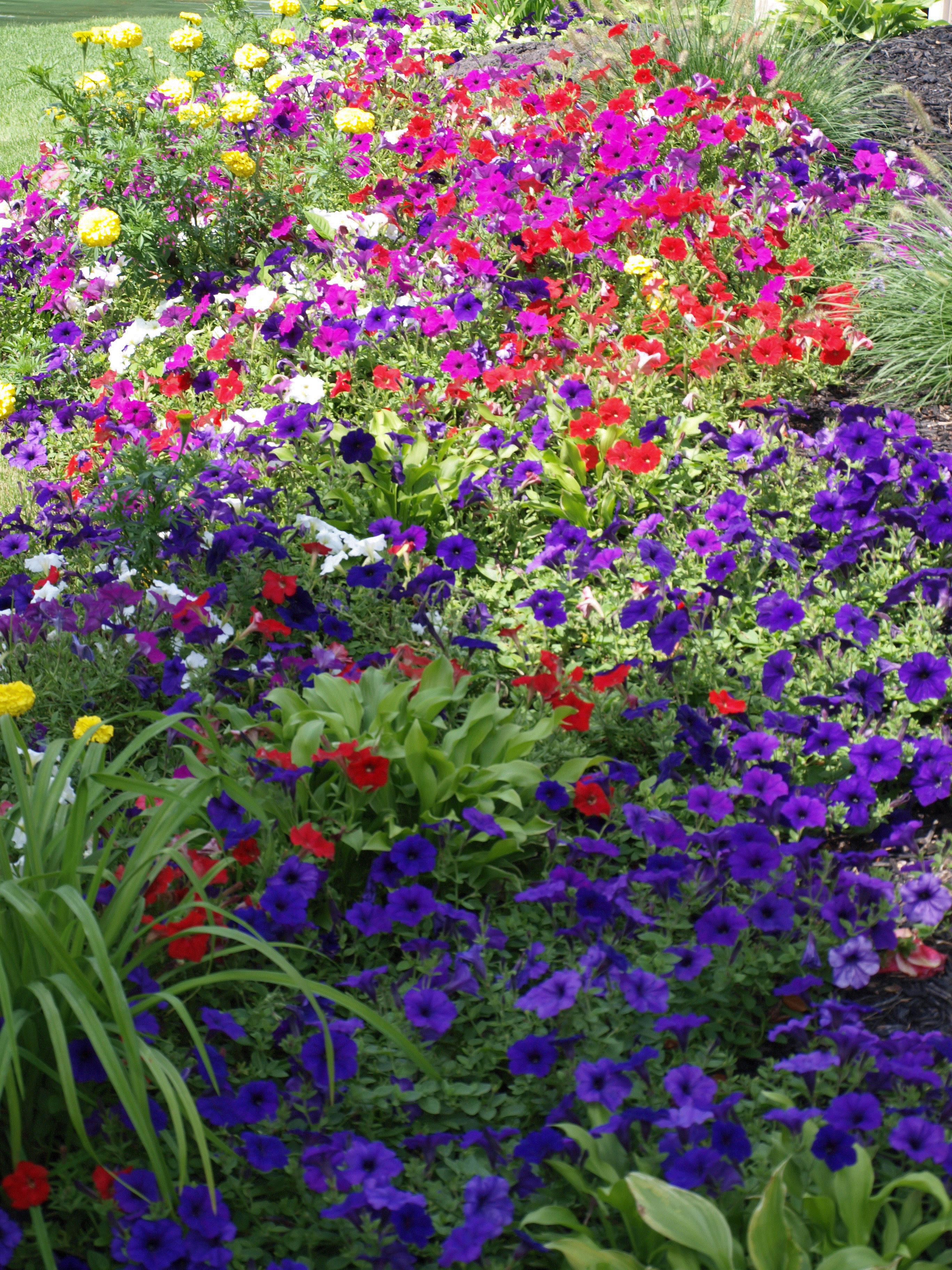 Bonnie, Byron Center, Michigan