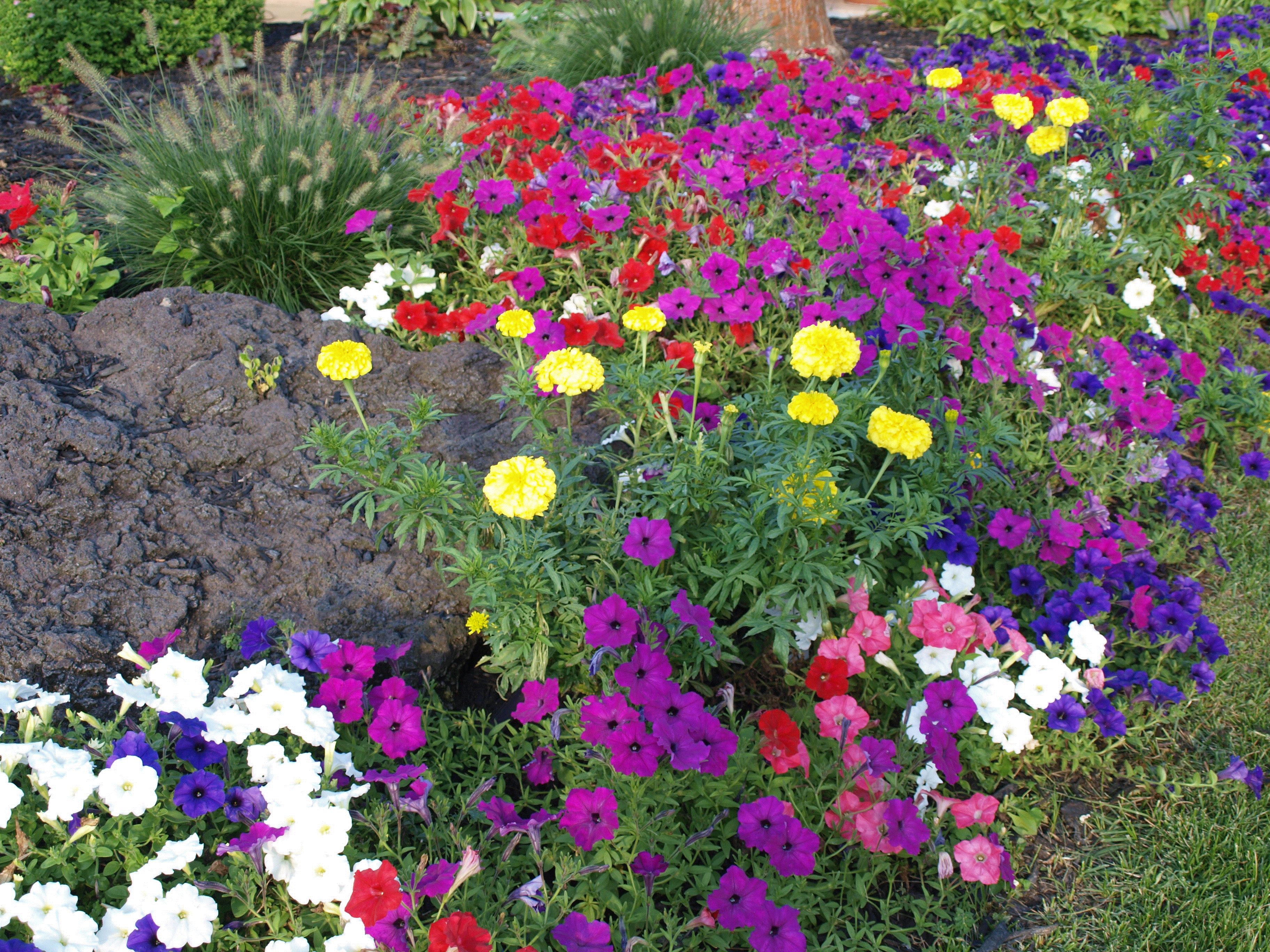 Bonnie, Byron Center, Michigan