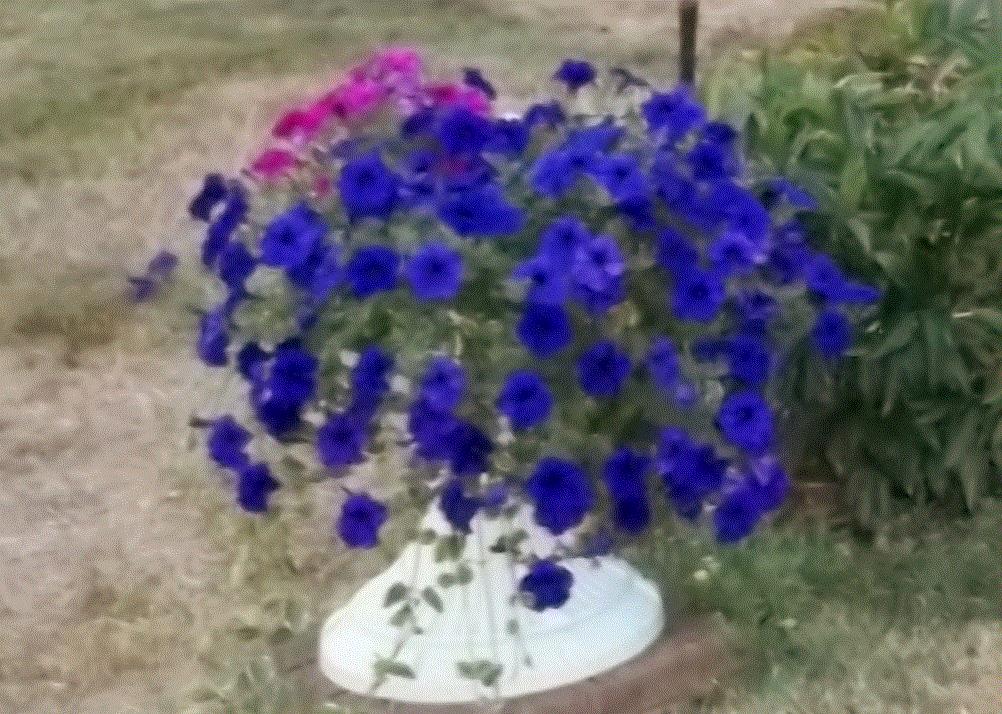 Gary, Mansfield, Ohio