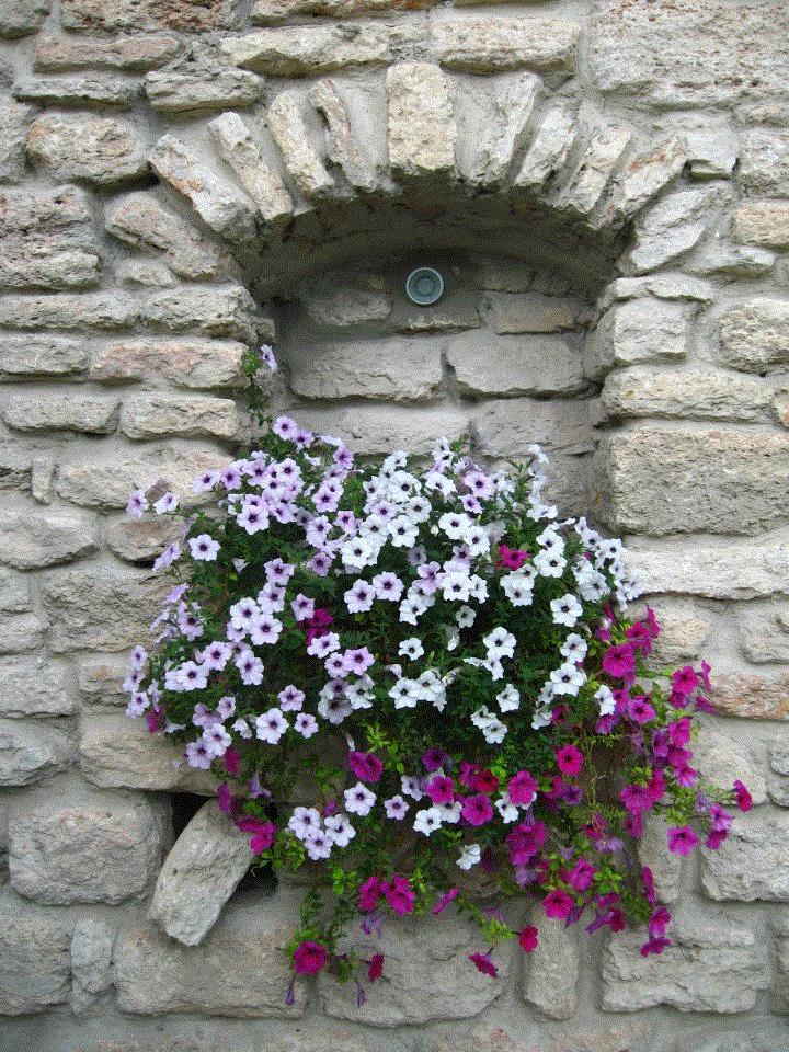 Jeny, Balchik, Bulgaria