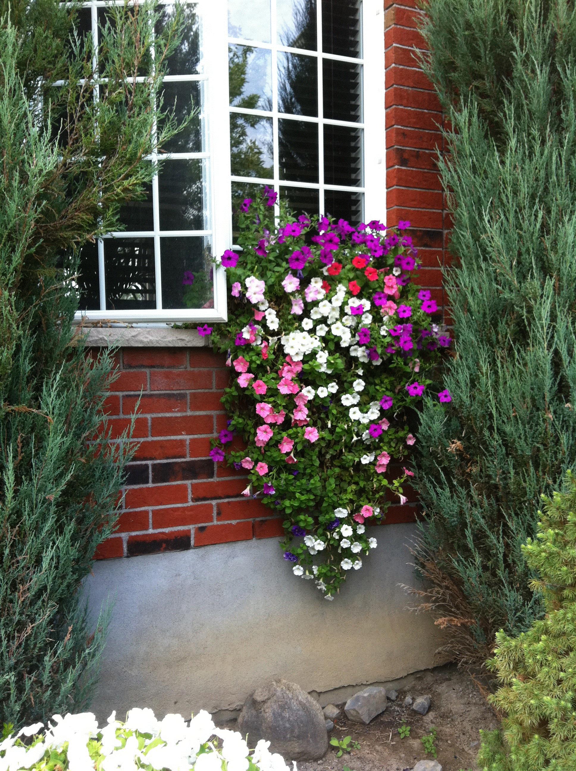 Marina, Montreal, Quebec