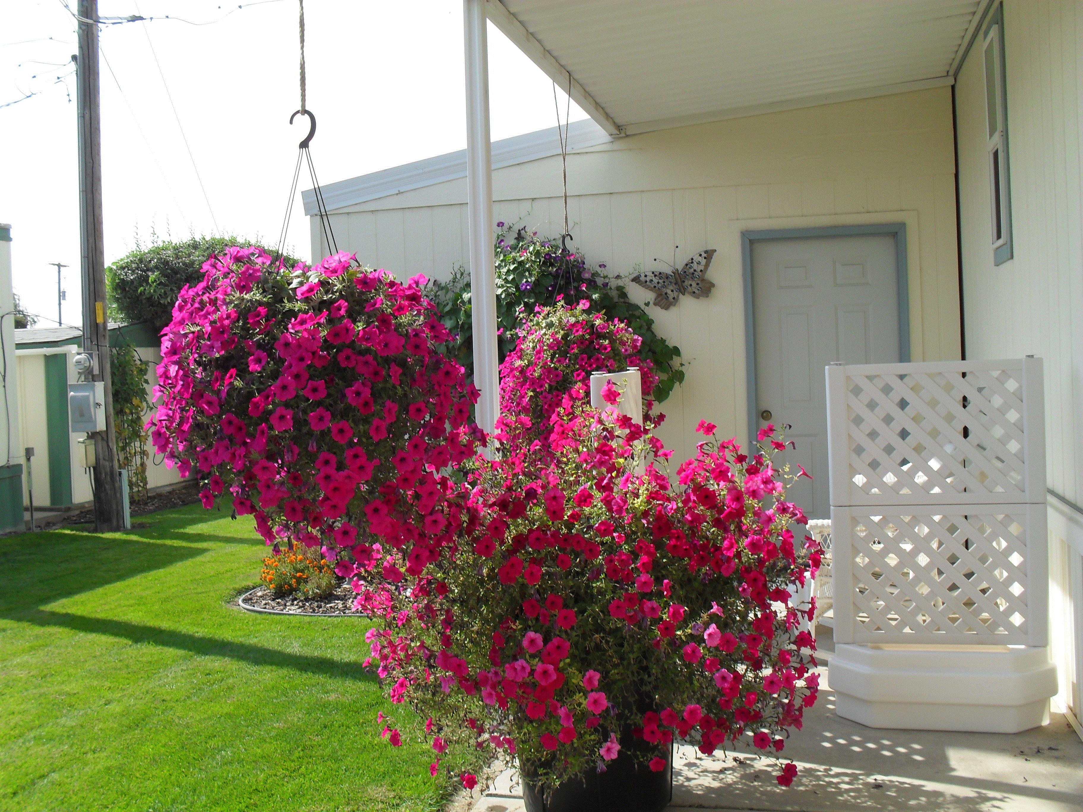 Andrea, Rupert, Idaho