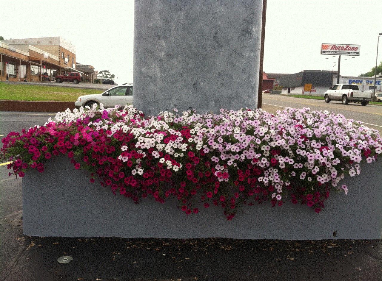 Arlene, Greeneville, TN