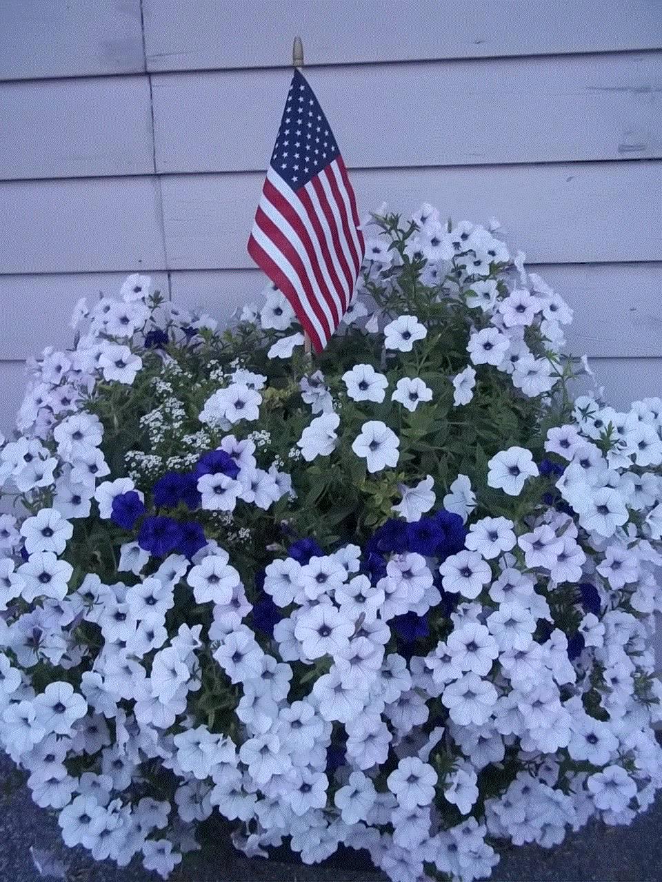 Fay, Lititz, Pennsylvania