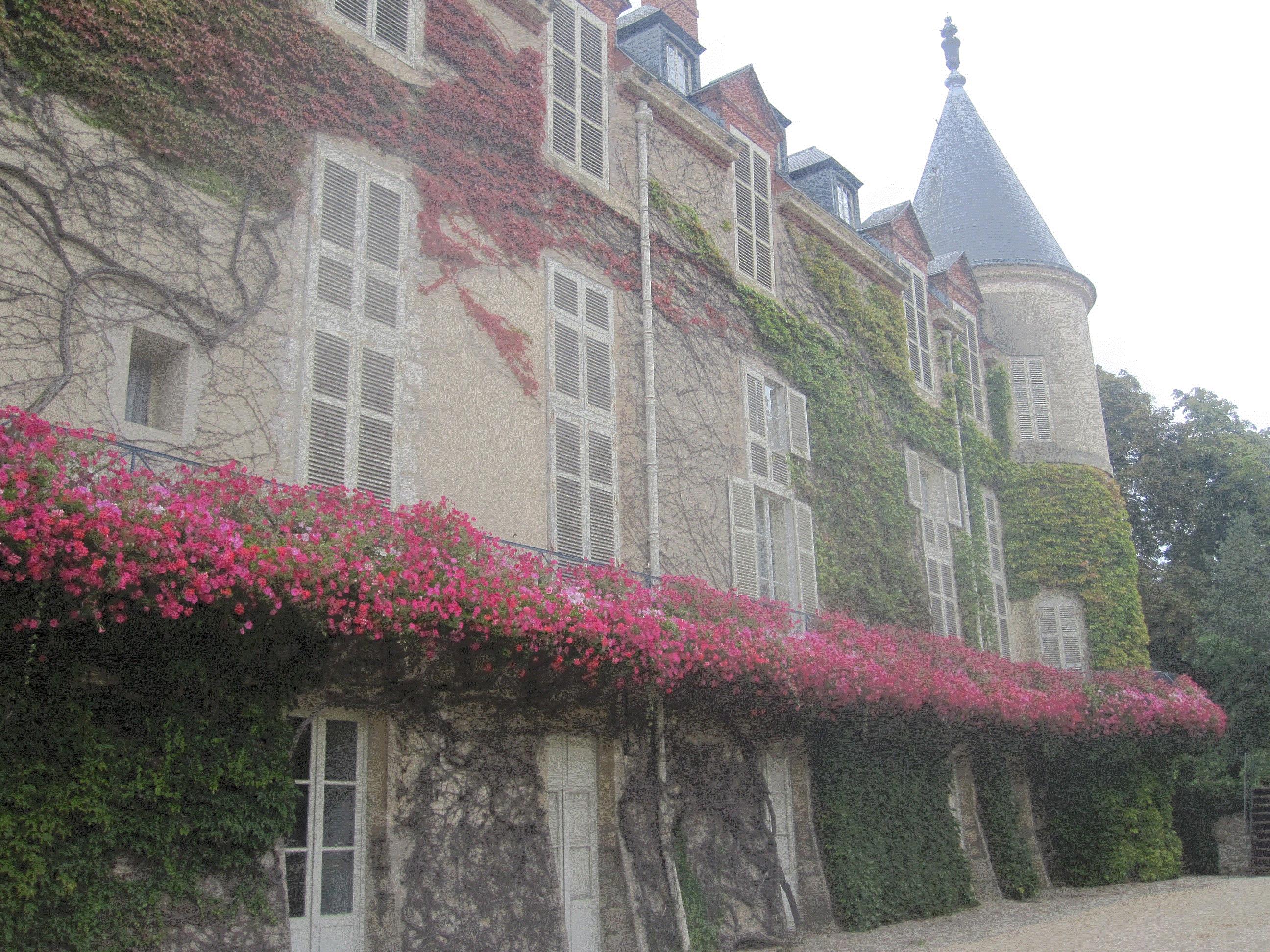 Sylvia, Rambouillet, France