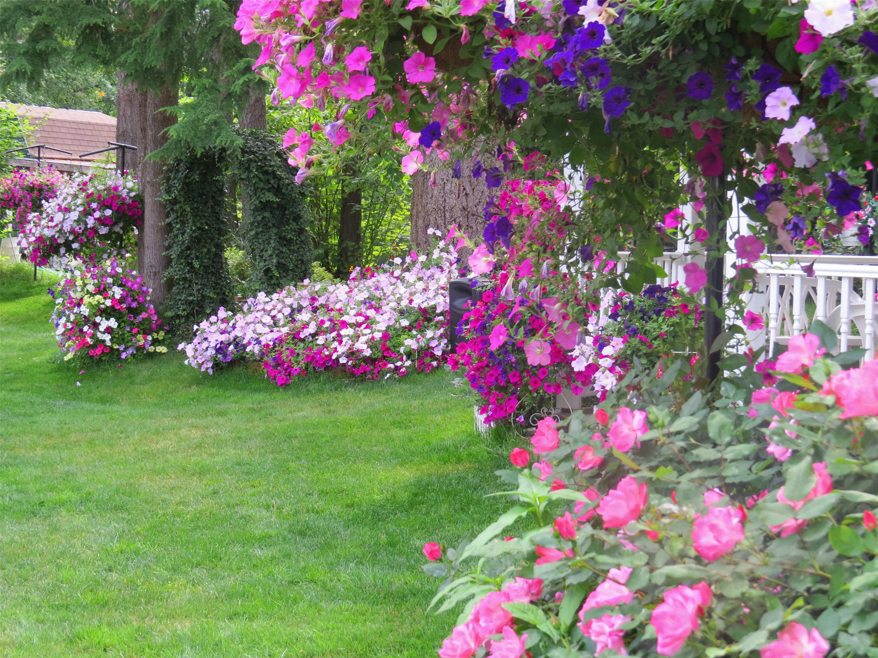 Jim, Covington Washington