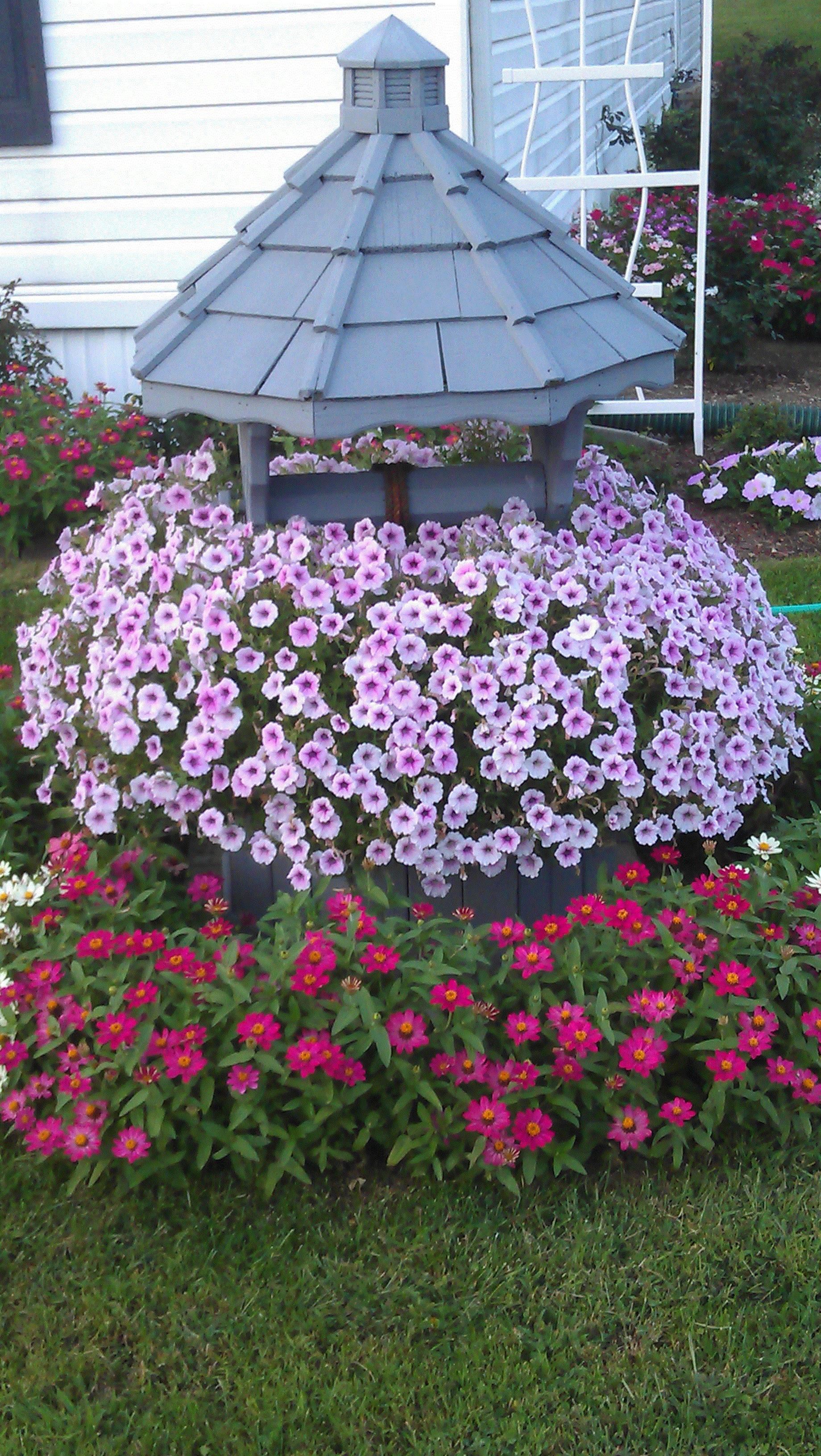 Penny, Dover Plains, New York