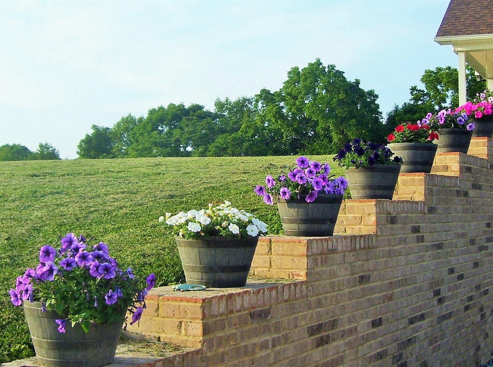 Brenda, Gainesboro, Tennessee