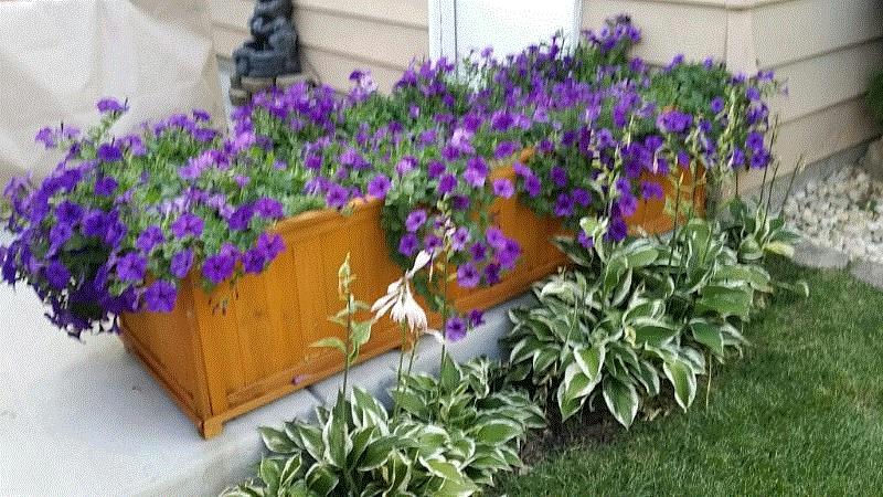 Tina, Chicago, IL (Southsider)