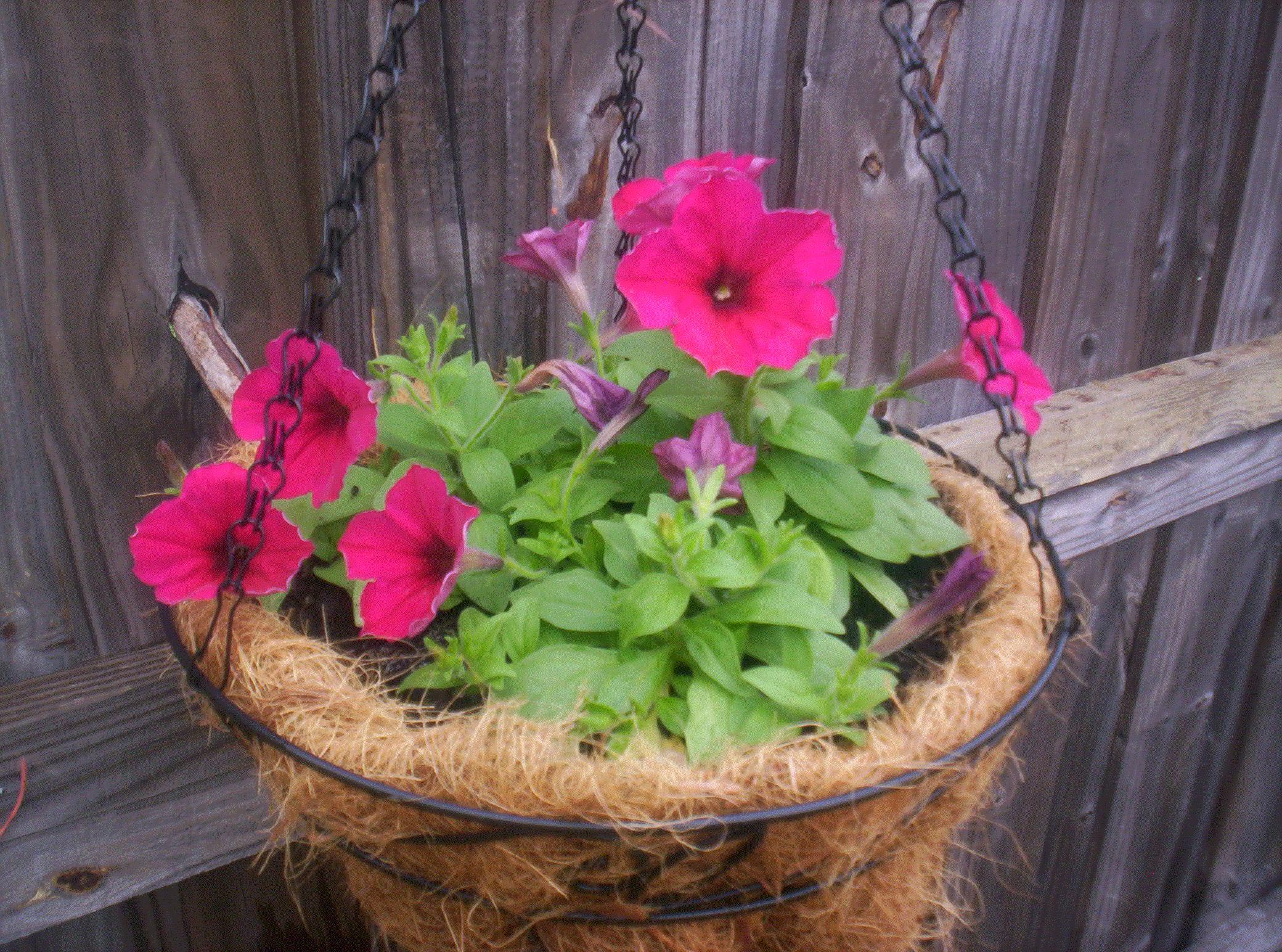 Steven, North Port, Florida