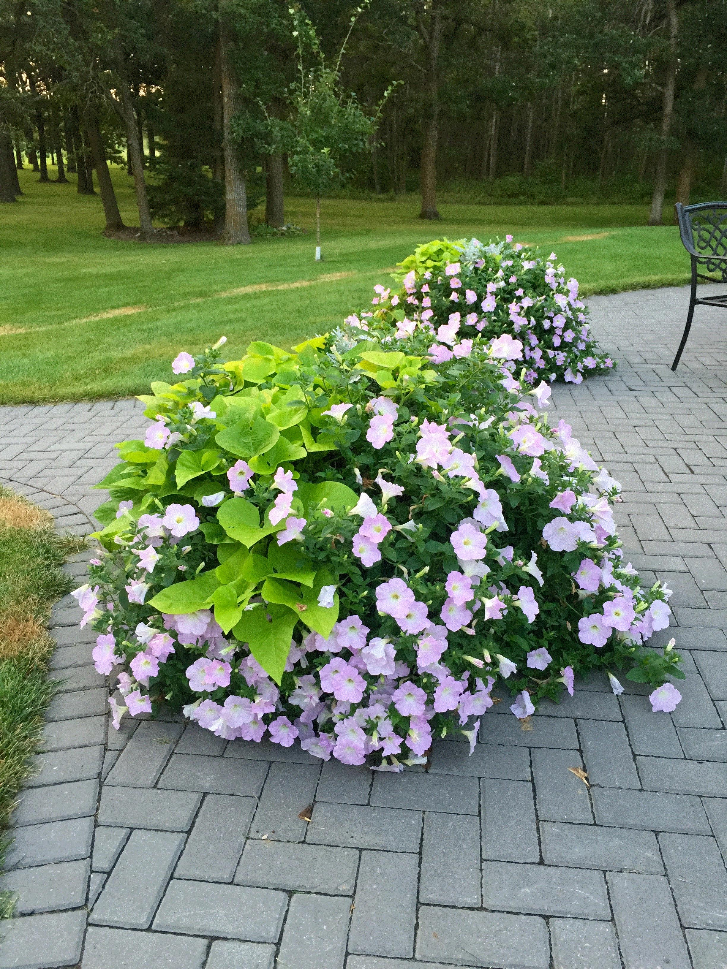 Kim, Roseau, Minnesota