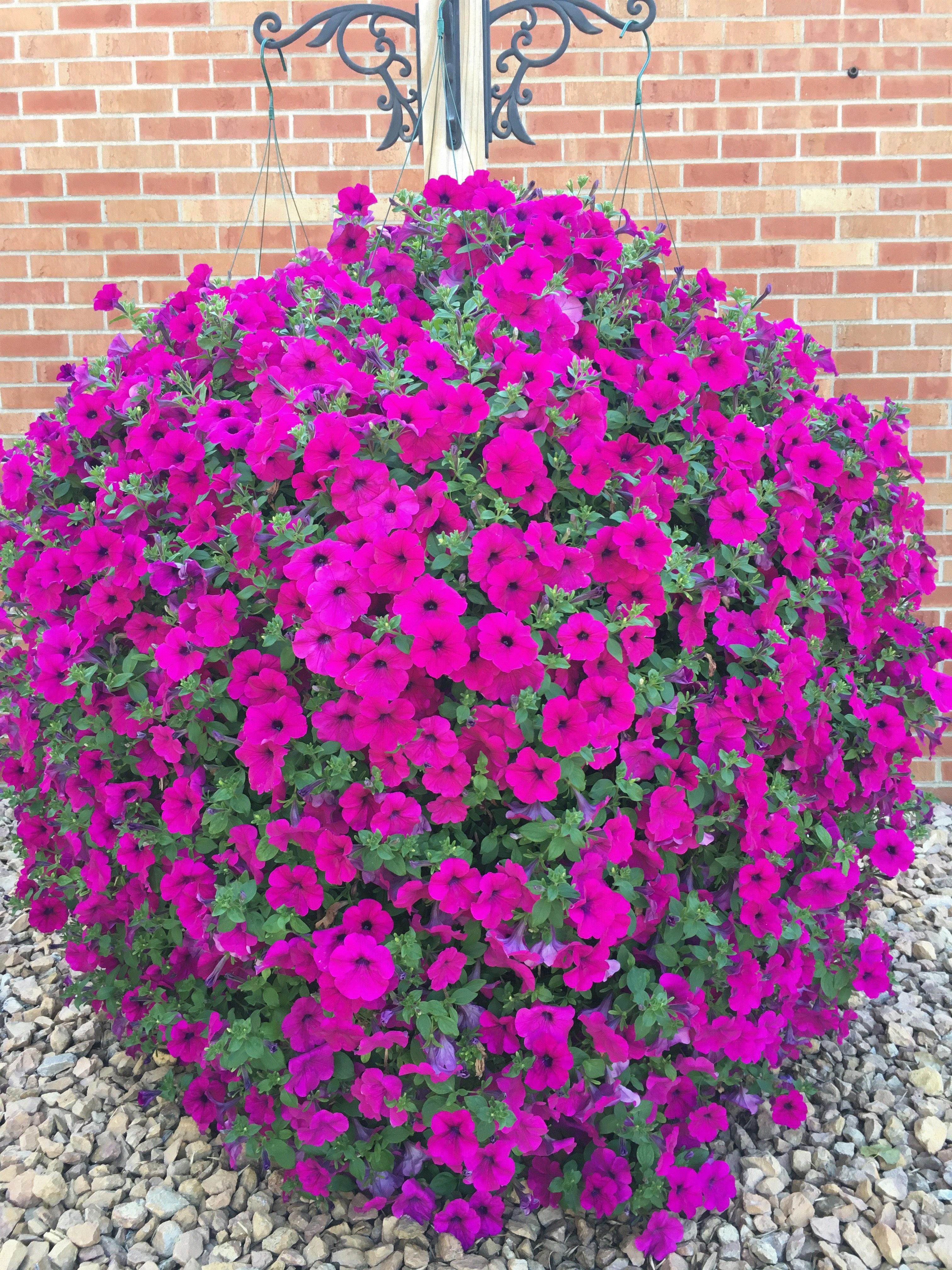 John, Golden Valley, MN