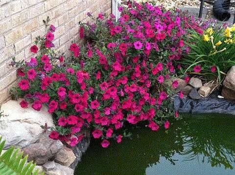 Jodie, Grant, Alabama