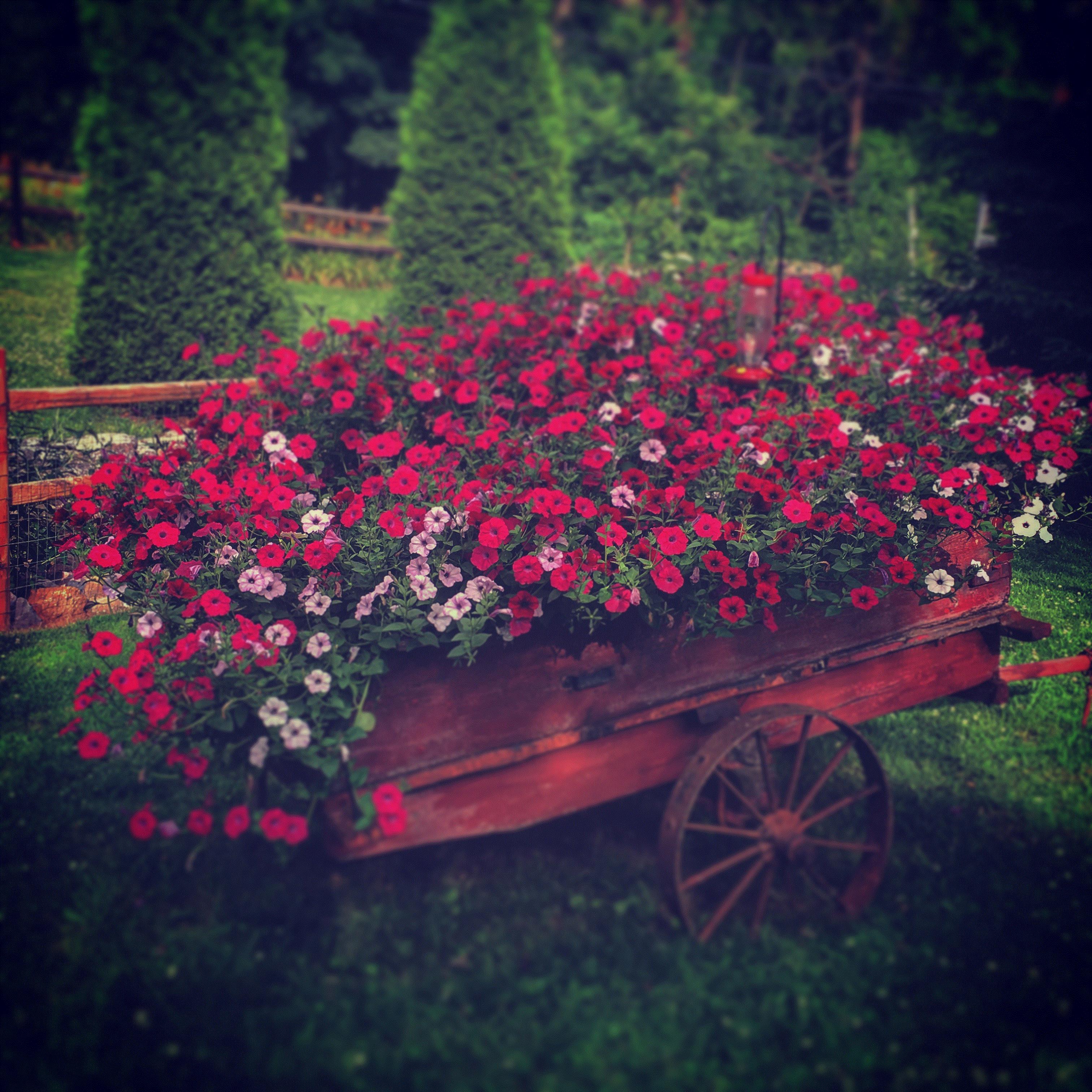 Melissa, Barnesville, Pennsylvania