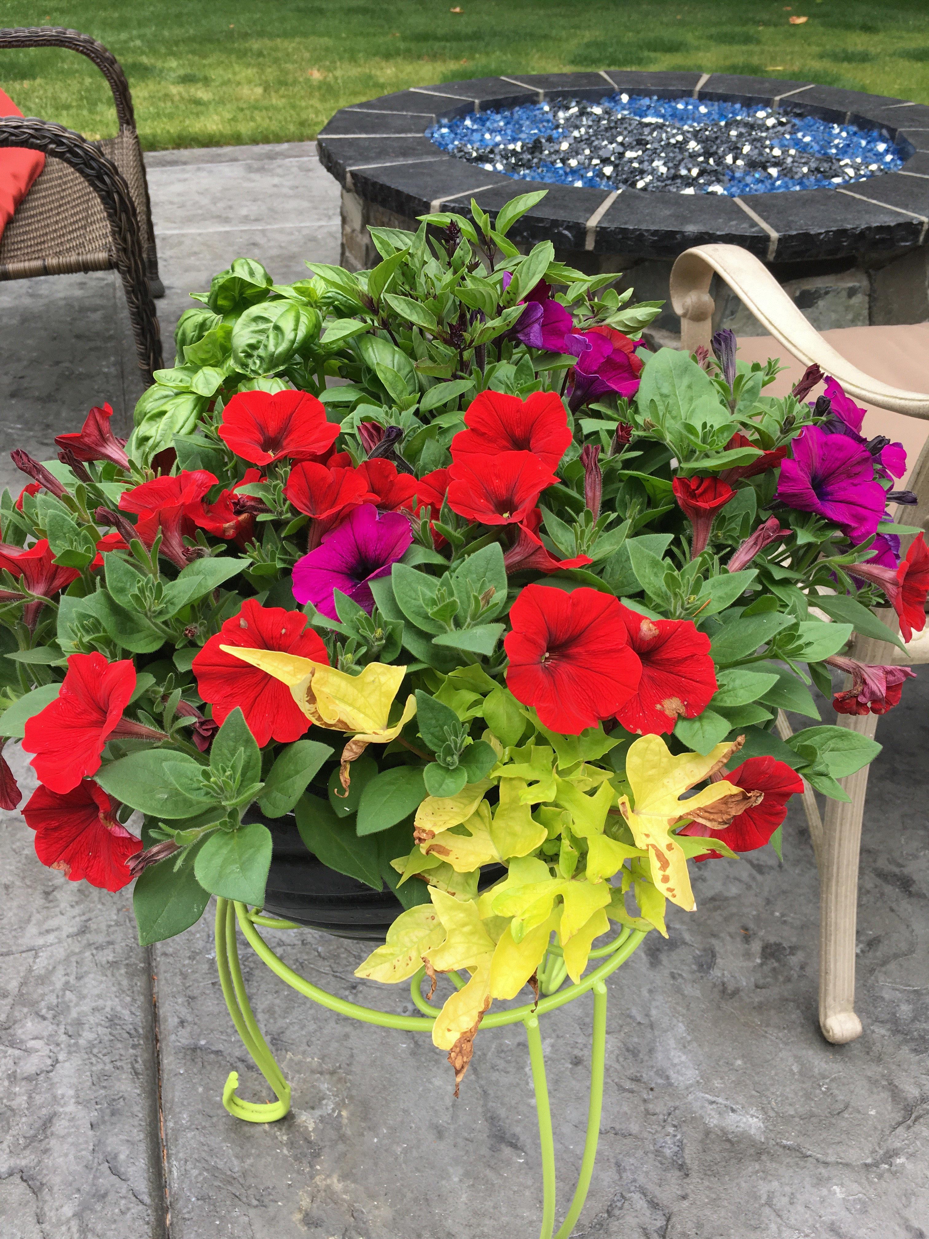 Trina, Snohomish, WA