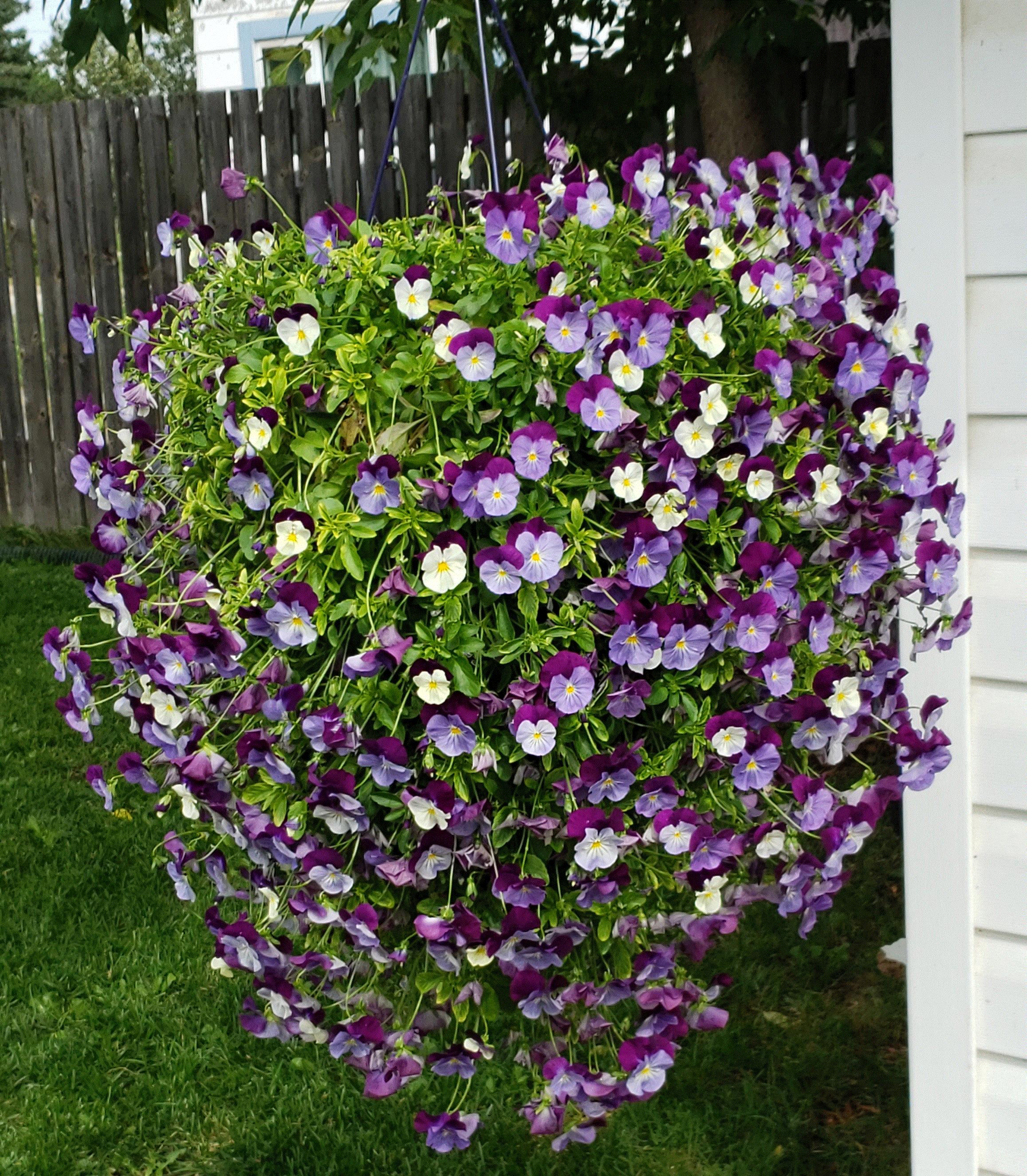 Kathleen, Meadow Lake, Saskatchewan Canada