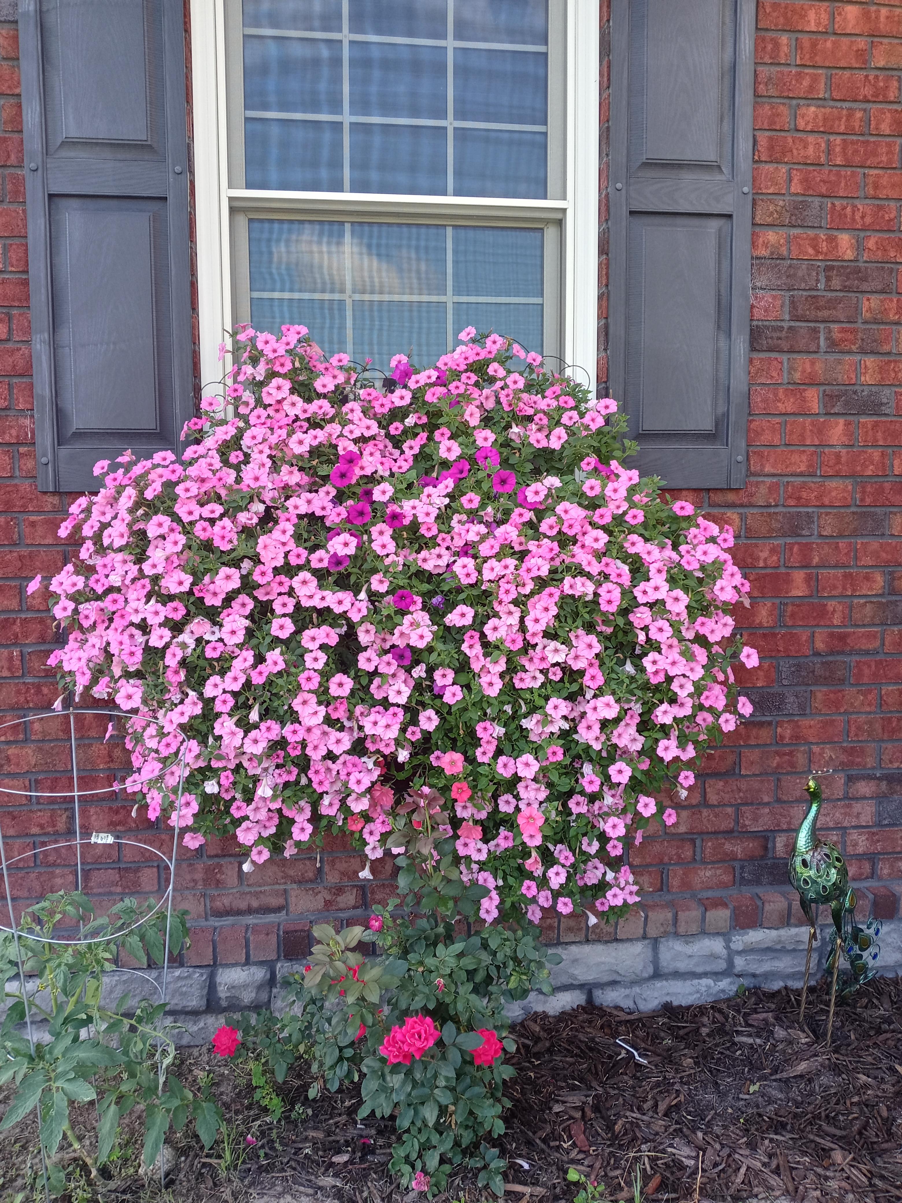 Robbi, Lake Butler, Florida