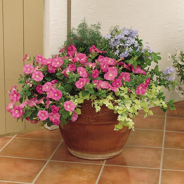 Easy Wave® Pink Project