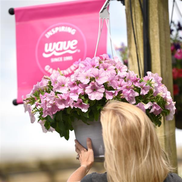 Easy Wave® Pink Pearl Project