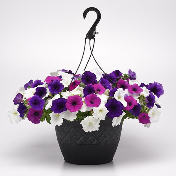 Easy Wave® Great Lakes Mixture Container 2