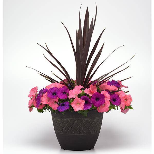 Easy Wave® Opposites Attract Mixture Project