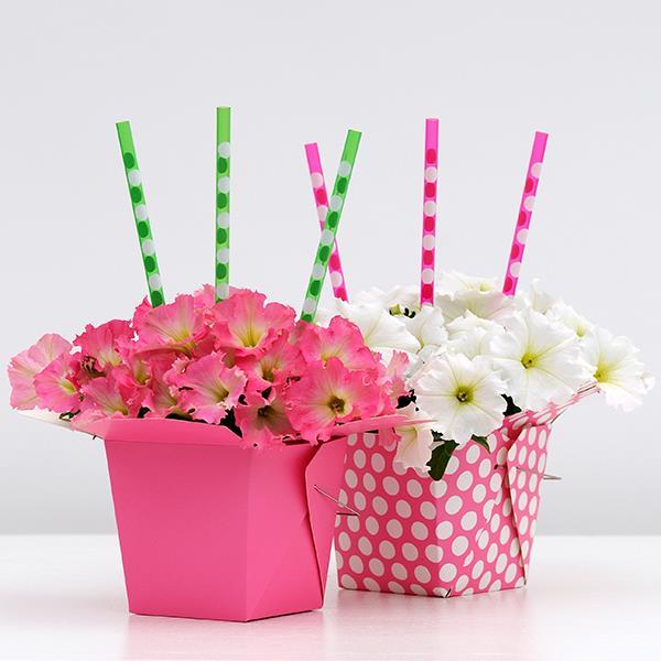 Easy Wave® Rosy Dawn Project