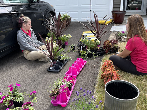 Two women sitting on a driveway with plants