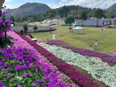 Tiered outdoor garden with bright pink, white and purple flowers and mountains in the background.