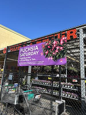 Fuschia Saturday sign in front of a garden center