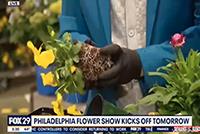 Hands demonstrating planting in a container