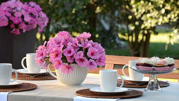Pink Passion Easy Wave Petunias sit in a bowl on a dining table al fresco 