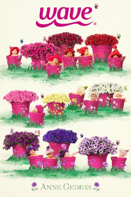 Babies in flower pots with Wave Petunias