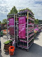 Cart full of Wave Petunias with a National Wave Day sign