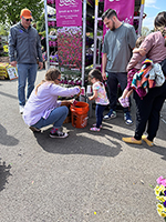 Child planting a Wave Petunia plug