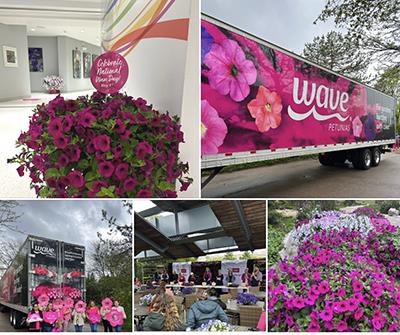 Collage of flowers and people celebrating National Wave Day
