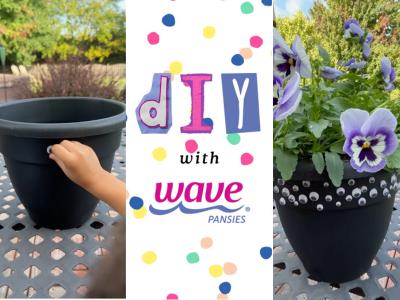 collage of a Halloween dyi project with pansies