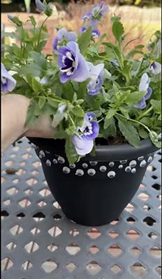 Flower pot with whimsical googly eyes and light purple pansies