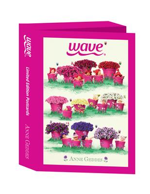Postcard box collection of babies and Wave Petunias photographed by Anne Geddes.