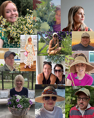 Collage of Pink Pot Ambassadors for Wave Petunias