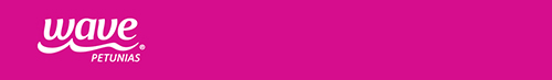 Pink Wave logo
