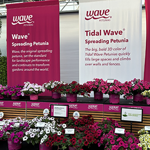 Informative signage for Wave Petunias