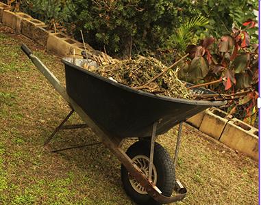 Wheelbarrow with composting material from a garden