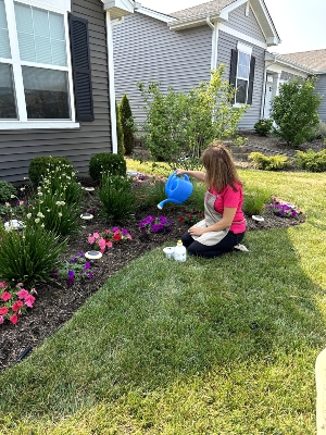 Woman in a pink shirt watering petunias outdoors