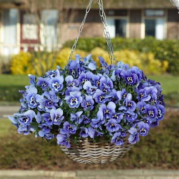 Top Wave™ Marina Container 2