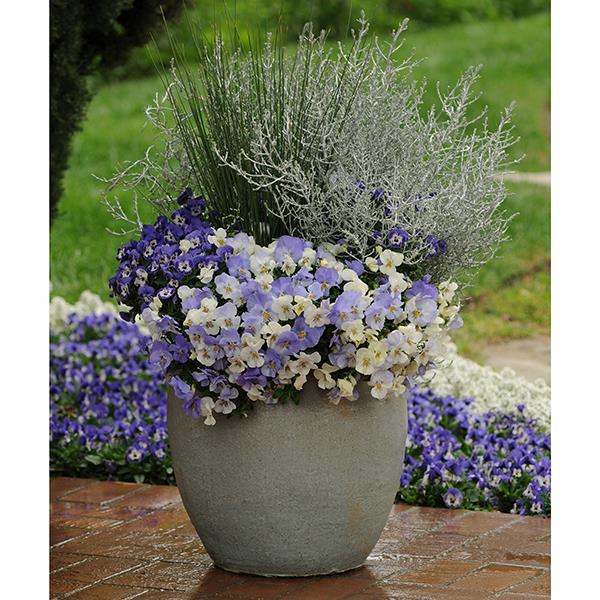 Cool Wave® Frost Container 2