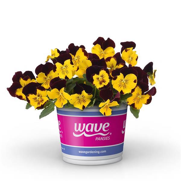 Cool Wave® Red Wing Pot