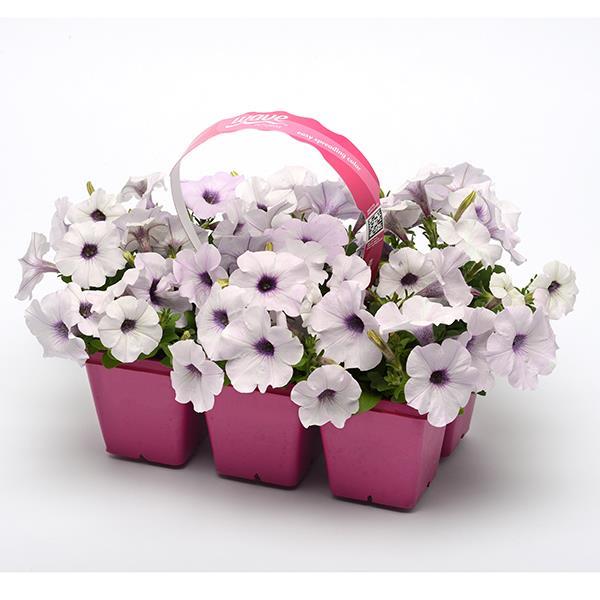 Easy Wave® Silver Pot