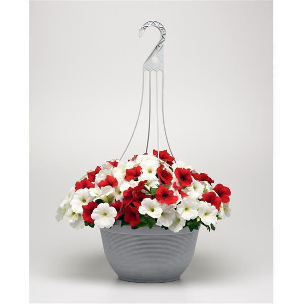 E3 Easy Wave® Peppermint Mixture Container 2